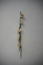Bloemenslinger- vilt- wit- 5 bloemen