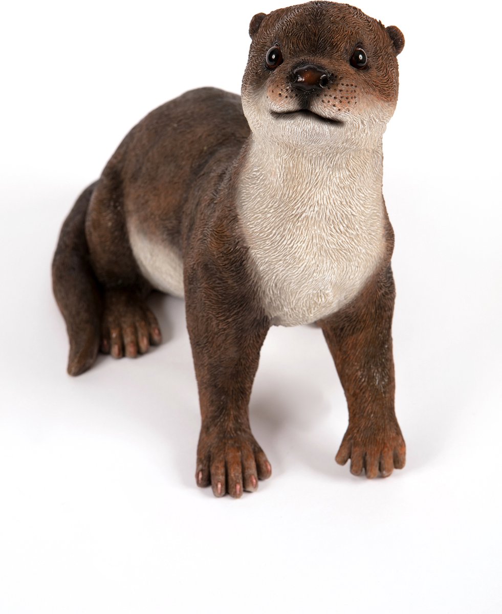staande  Otter