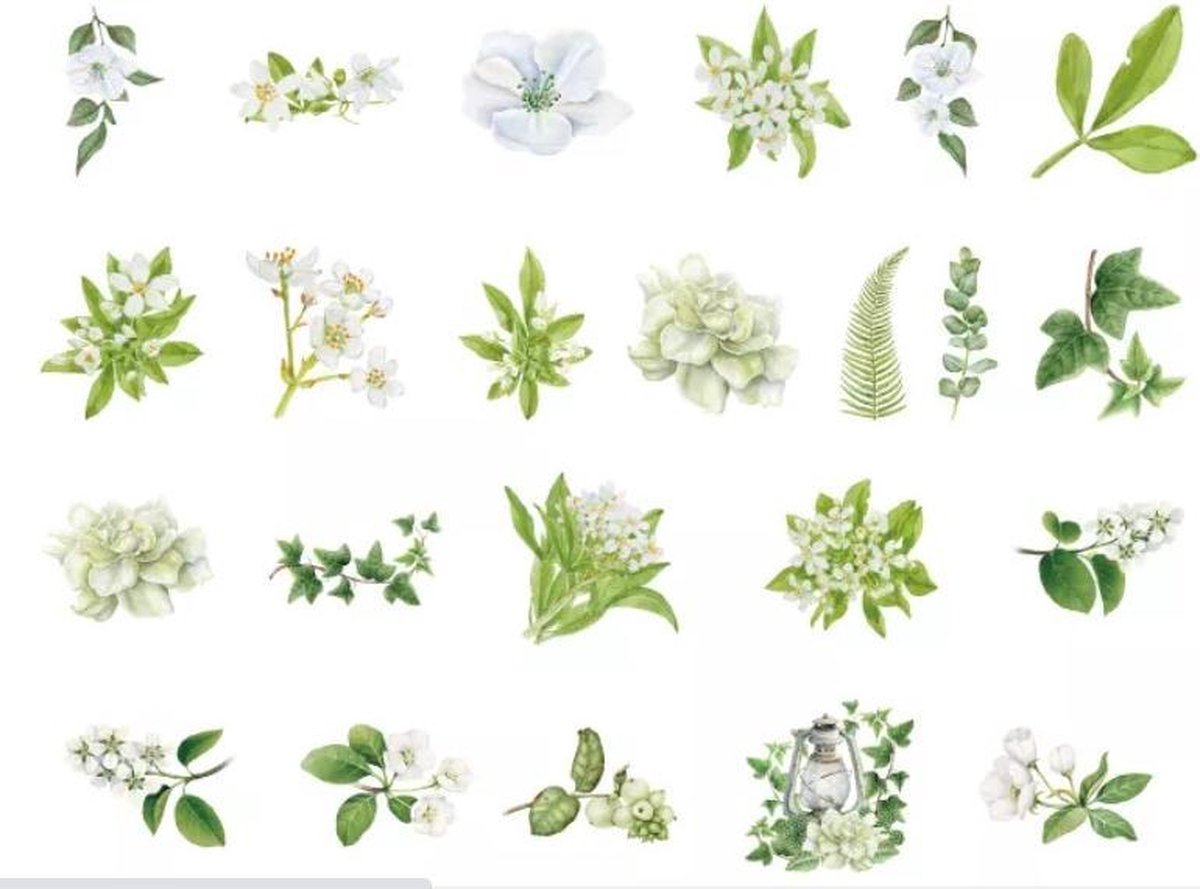 46 Stickers Groentinten Bloemen en planten - D019 - Groen En Wit -  Voor Scrapbook Of  Bullet Journal - Thema Bloem En Plant Sticker - Stickers Voor Volwassenen En Kinderen - Agenda Stickers - Decoratie Stickers — afbeelding 2