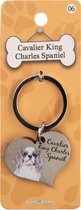 Paper Dreams Sleutelhanger Berner Cavalier King 5 Cm Staal Zilver