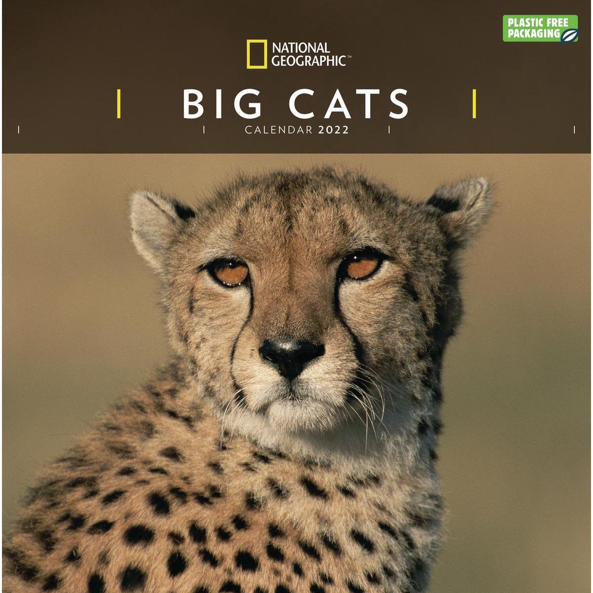 Dieren kalender 2022 katachtige National Geographic 30 cm incl. 2