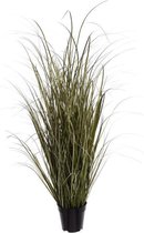 Seta Fiori - Beargrass - Kunstplant - grasplant - 105cm -