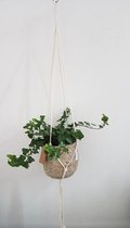 Macramé Plantenhanger 1m met Bloempot H 18cm Jute Katoen