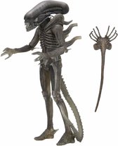 Alien: 40th Anniversary Alien (Giger)