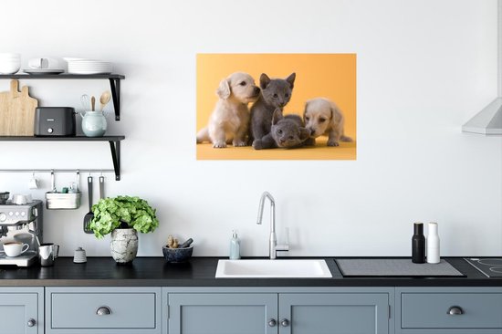 Une affiche représentant deux chiots de couleur claire et deux chatons gris est accrochée au-dessus d'un comptoir de cuisine.