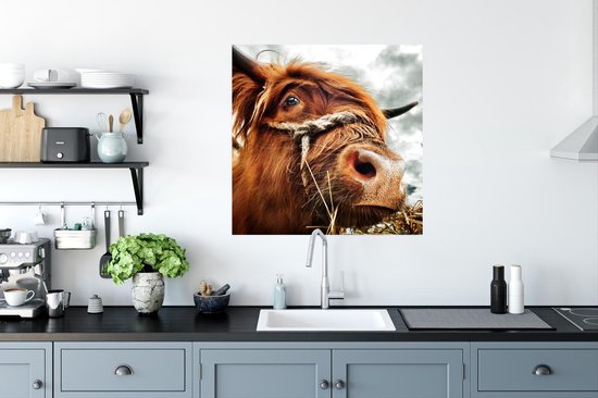 Poster Schotse Hooglander - Koeienkop - 75x75 cm