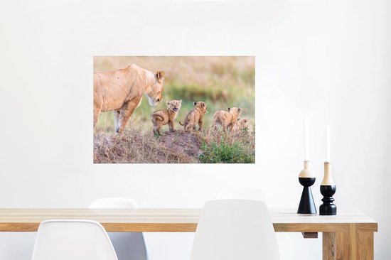 Affiche Lion - Bébé - Sauvage - 60x40 cm