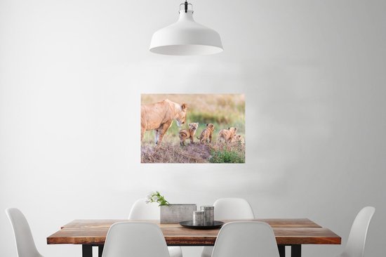 Affiche Lion - Bébé - Sauvage - 60x40 cm