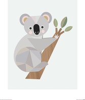 Little Design Haus Poster - Koala - 50 X 40 Cm - Multicolor