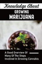Knowledge About Growing Marijuana: A Good Overview Of Many Of The Steps Involved In Growing Cannabis