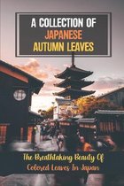 A Collection Of Japanese Autumn Leaves: The Breathtaking Beauty Of Colored Leaves In Japan
