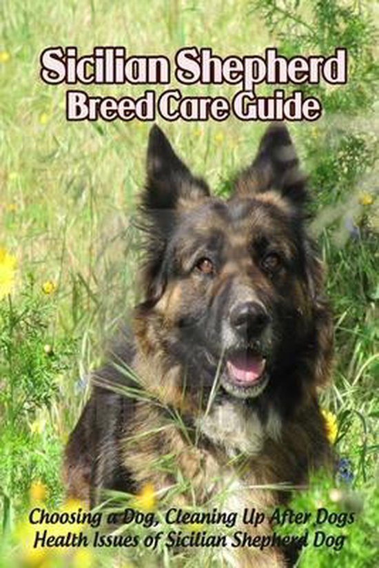 Sicilian Shepherd Breed Care Guide: Choosing a Dog, Cleaning Up After Dogs, Health Issues of Sicilian Shepherd Dog