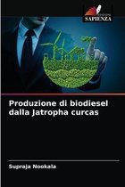 Produzione di biodiesel dalla Jatropha curcas