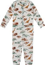 Claesen's Unisex Onesie-Dinosaurus Print- Maat 128-134