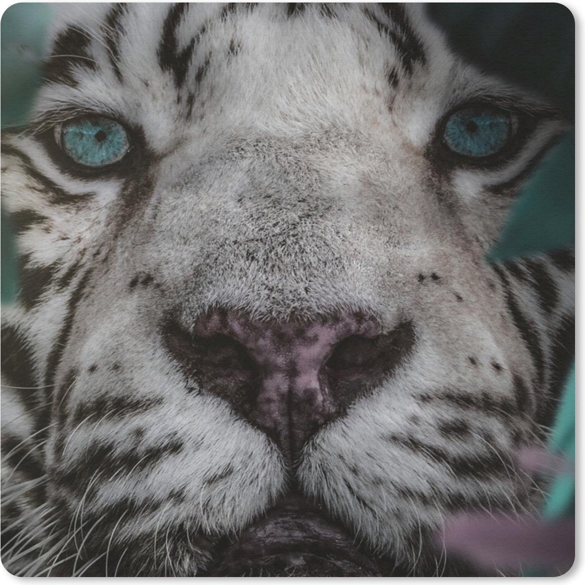 Muismat 20x20 cm - Mousepad Jungle - Tijger - Zwart - Wit - Muismatten