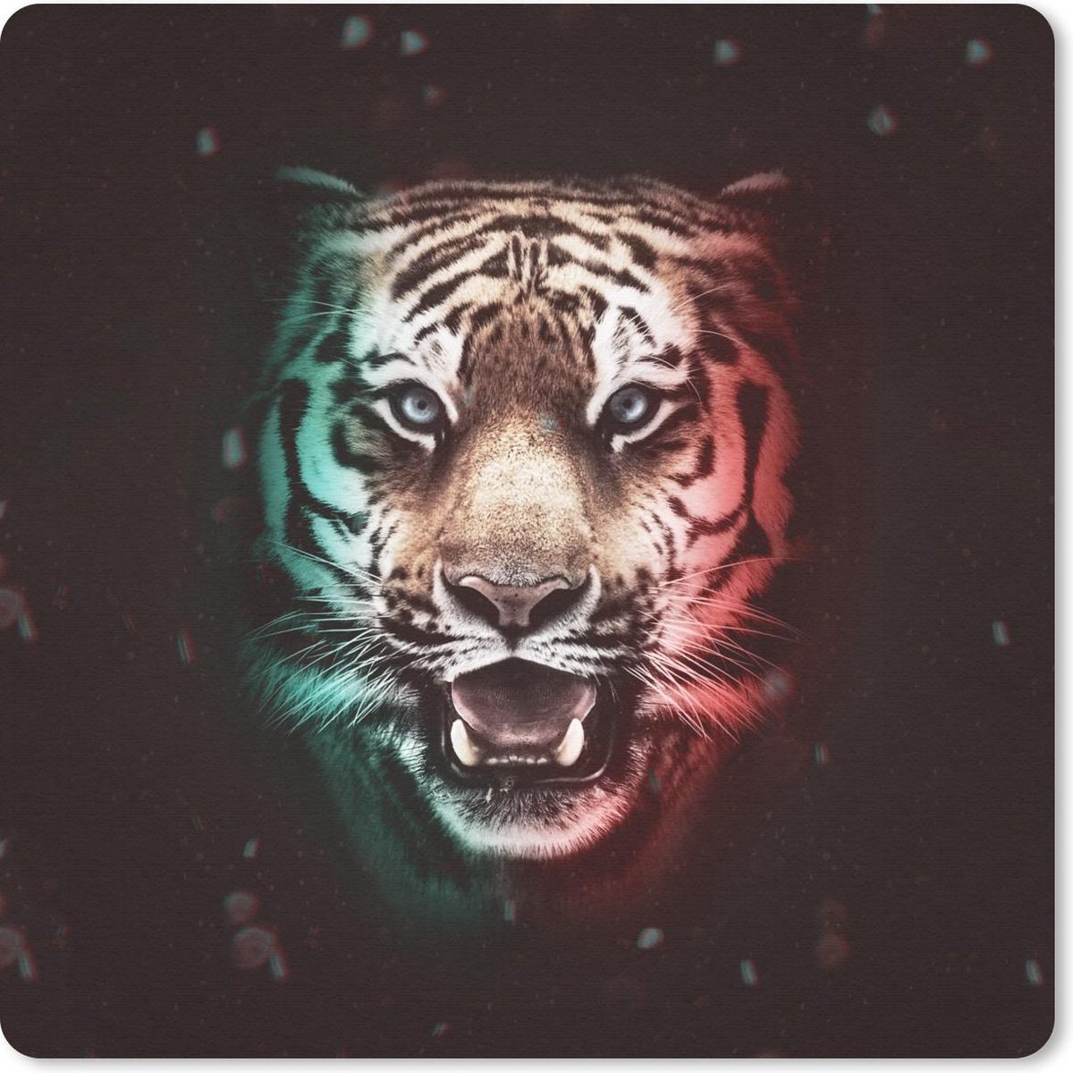 Muismat 20x20 cm - Mousepad Tijger - Kleur - Dieren - Muismatten