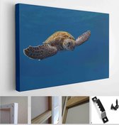 A magnificent giant golden sea turtle spreads its paws and swims in the blue depths of the sea - Modern Art Canvas - Horizontal - 1928584418 - 115*75 Horizontal