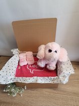 Kraambox Olifant Leuk | Kraamcadeau | Gratis Snelle verzending