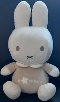 Knuffel Nijntje Grijs "a STAR is born" 40cm