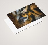 Cadeautip! Luxe ansichtkaarten set Tijgers 10x15 cm | 24 stuks | Wenskaarten Tijgers