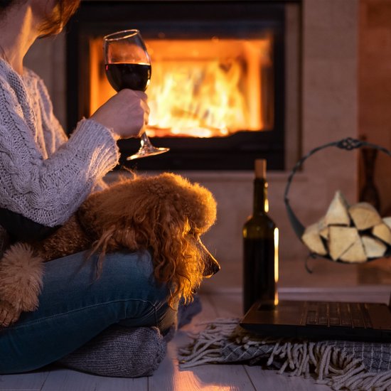 Een hond ligt op schoot bij een persoon met een glas rode wijn voor een brandende open haard.