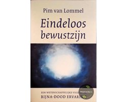 Omslag van Eindeloos bewustzijn