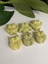 Wax (geur) melts Vanille , handmade, in leuke vormpjes,  de wax is plantaardig, natuurlijk en biologisch afbreekbaar, koosjer en niet op dieren getest!!