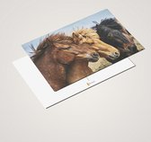 Cadeautip! Luxe ansichtkaarten set Paarden 10x15 cm | 24 stuks | Wenskaarten Paarden