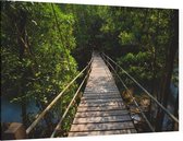 Brug door de Jungle - Foto op Canvas - 60 x 40 cm