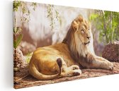 Artaza Canvas Schilderij Leeuw - 100x50 - Groot - Foto Op Canvas - Canvas Print