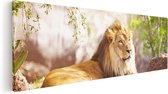 Artaza - Peinture sur Canevas - Lion - Tête de lion - Noir Blanc - 60x20 - Photo sur Toile - Impression sur Toile