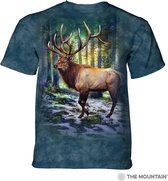 T-shirt Sunlit Elk M