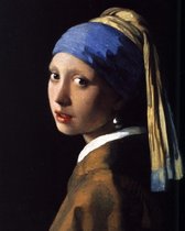Diamond Painting Meisje met de parel Vermeer 40x50cm. (Volledige bedekking - Vierkante steentjes) diamondpainting inclusief tools
