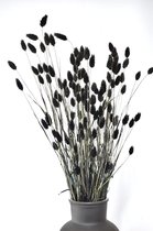 Droogbloemen - Droogbloemen boeket - Zwart - 60 cm - Natuurlijk Bloemen