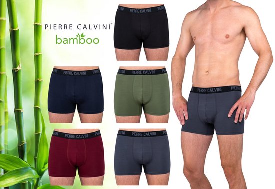 Pierre Calvini Bamboe Sous-vêtements Homme - 5 Pièces - Shorty -  Assortiment Foncé - XXL | bol.com
