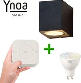 Ynoa slimme buitenverlichting Nice - Zwart - Inclusief afstandsbediening - Zigbee 3.0 - CCT diverse wittinten instelbaar - IP54 - Smart wandlamp voor binnen en buiten