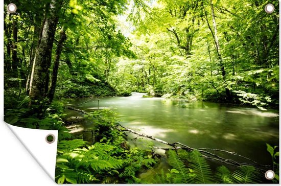 Affiche de jardin Forêt - Arbre - Water - 120x80 cm - Jardin