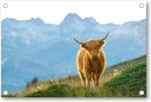 Schattige Schotse Hooglander - Tuinposter 120x80 - Wanddecoratie - Dieren - Natuur