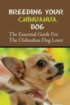 Breeding Your Chihuahua Dog: The Essential Guide For The Chihuahua Dog Lover