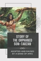 Story Of The Orphaned Son-Tarzan: Adopted And Raised By A Band Of Apes
