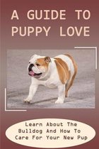A Guide To Puppy Love: Learn About The Bulldog And How To Care For Your New Pup