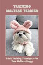 Training Maltese Terrier: Basic Training Techniques For Your Maltese Puppy