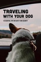Traveling With Your Dog: 10 Essential Tips For Safety And Security