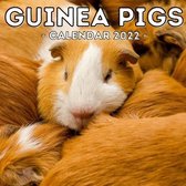 Guinea Pigs Calendar 2022