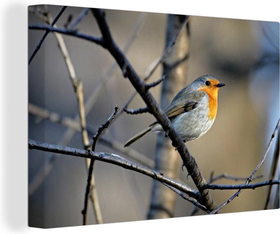 Peintures sur toile Robin - Vogel - Branches - 60x40 cm - Décoration murale