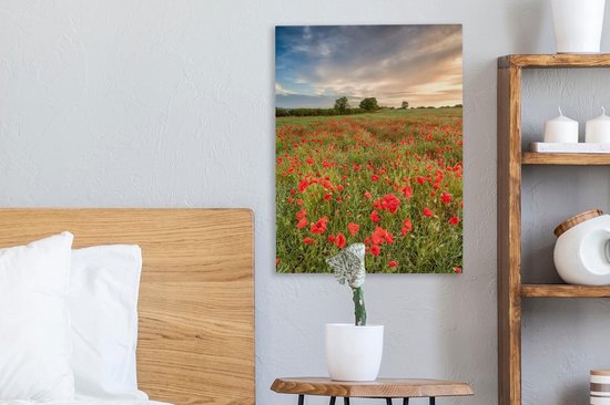 Peintures sur toile Coquelicots - Nuages - Herbe - 30x40 cm - Décoration murale