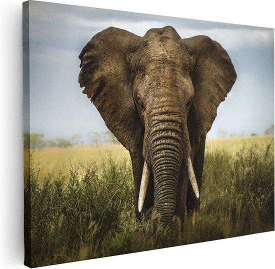 Artaza Canvas Schilderij Olifant In Het Wild - Kleur - 40x30 - Klein - Foto Op Canvas - Canvas Print