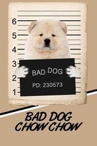 Bad Dog Chow Chow