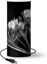 Lamp Zwart-wit foto van een rode lieveheersbeestje op een plant - zwart wit - 54 cm hoog - Ø23 cm - Inclusief LED lamp