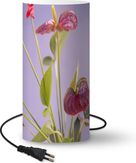 Lamp - Nachtlampje - Tafellamp slaapkamer - Anthurium met rode bloemen voor  lila... 